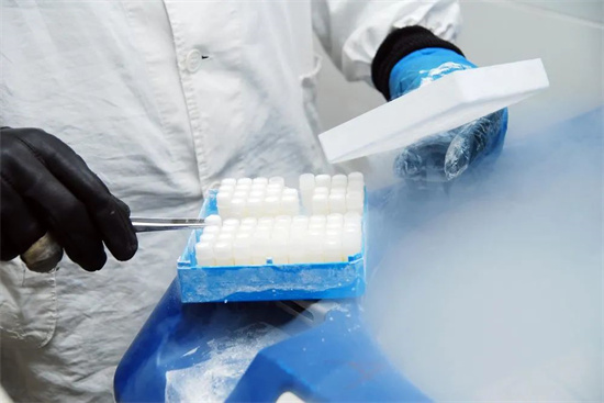 试管取卵后有异常卵泡怎么办？穿刺取卵有异常卵泡能否移植