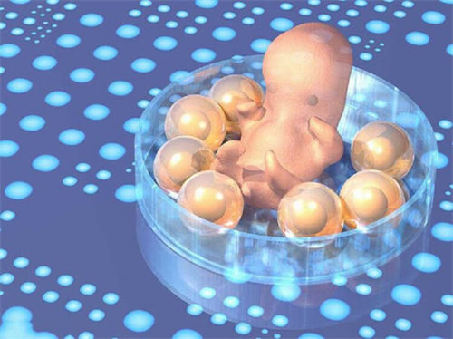 武汉妇幼保健院试管供卵不用排队吗？2025年武汉妇幼保健院供卵试管费用