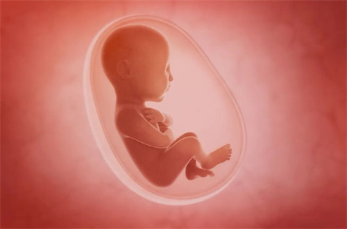 俄罗斯做试管婴儿如何防止被骗？2025年去俄罗斯试管婴儿的流程