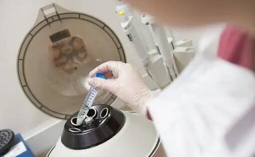试管4bb囊胚质量怎么样？囊胚4bb移植成功率高不高