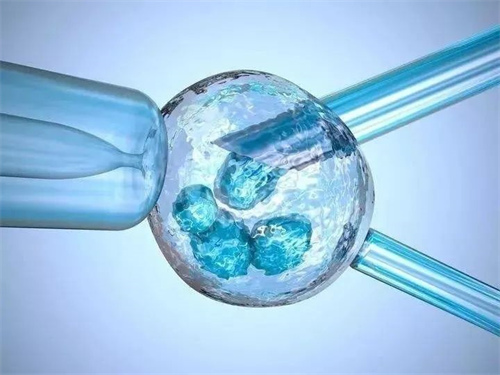 试管婴儿8个基础卵泡少不少?8个基础卵泡试管成功率高吗 试管婴儿8个基础卵泡少不少?8个基础卵泡试管成功率高吗