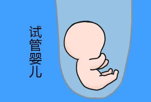 2025海外部分国家做供卵试管的费用参考！附国外做供卵试管的注意事项