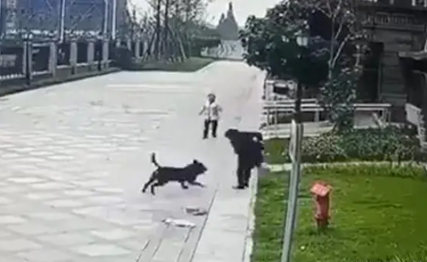 1697510368830413.png 99.png