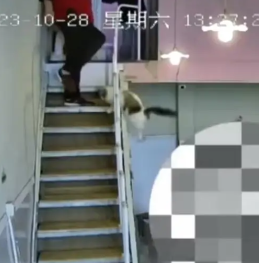 1698631772965342.png image.png