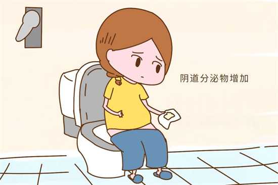 1701674368385150.jpg 怀孕36.jpg