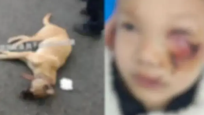 1701832525992980.png image.png