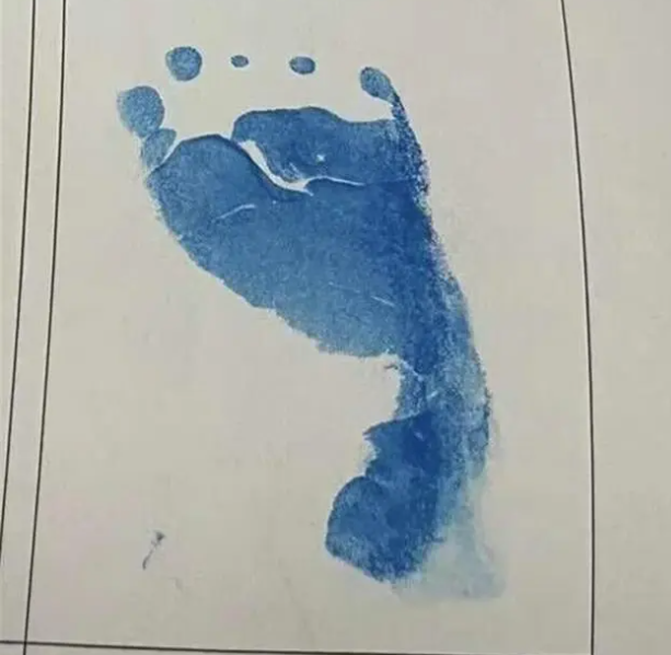 1703121919734311.png image.png