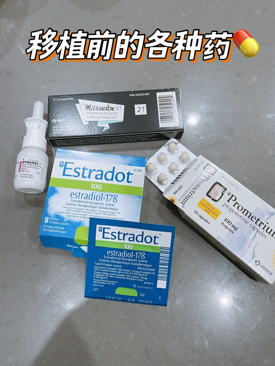 试管之路｜胚胎移植前的准备