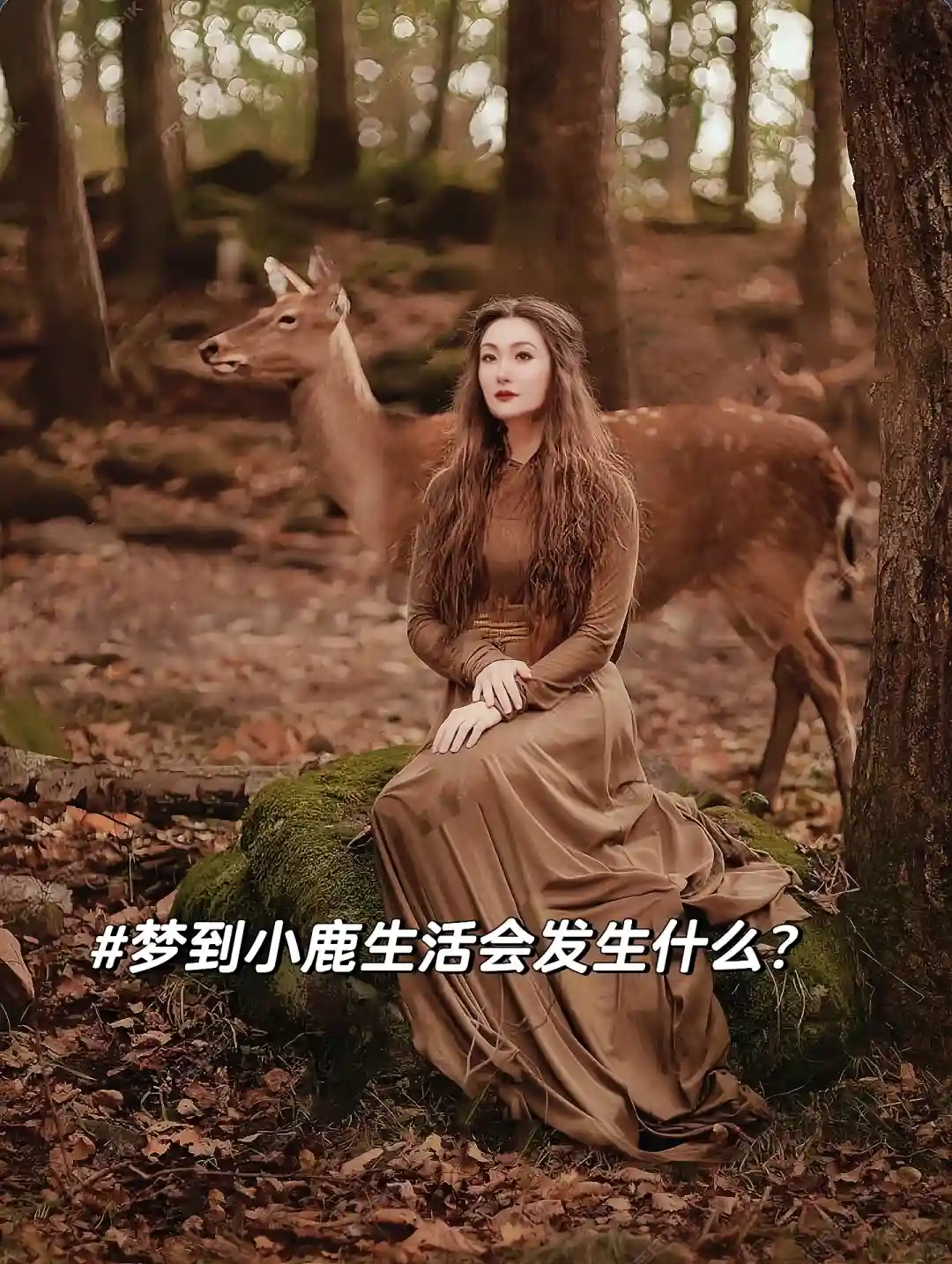 解梦：梦见小鹿代表什么？