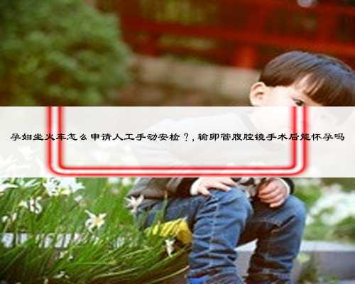 孕妇坐火车怎么申请人工手动安检?,输卵管腹腔镜手术后能怀孕吗