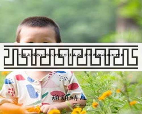 吃紧急避孕药多长时间可以备孕,常规避孕药都有什么