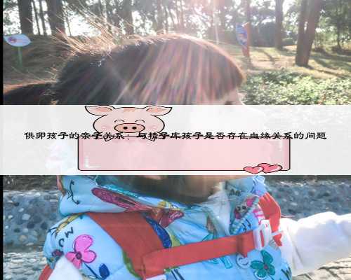 供卵孩子的亲子关系:与精子库孩子是否存在血缘关系的问题