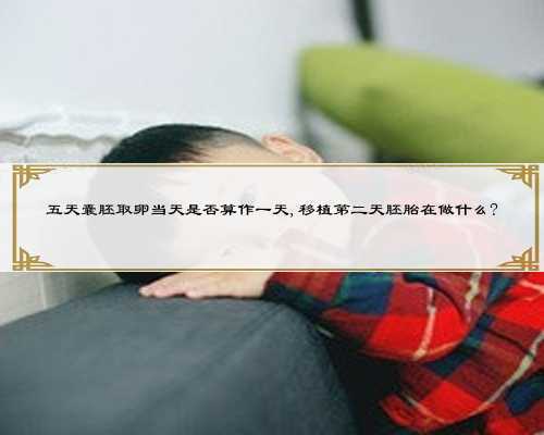 五天囊胚取卵当天是否算作一天,移植第二天胚胎在做什么?