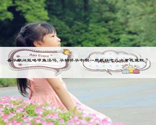 备孕期间能喝甲鱼汤吗,孕妇怀孕中期一周最好吃几次黄花鱼胶?
