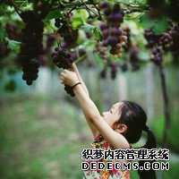 试管婴儿有多痛呢？陪你了解全过程，看完后好心疼女人_31561