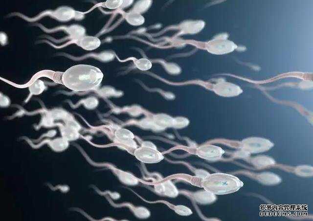 深圳捐卵代怀 深圳北大三代试管总费用 ‘b超如何测男女’