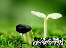 2vLZ6_做试管婴儿不能想当然 这样做才更容易成功