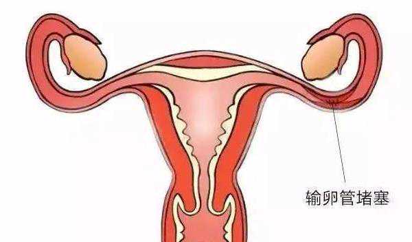济宁三代试管 最新济宁试管婴儿医院排名 ‘双顶径41mm股骨长27mm胎心160次看男女’
