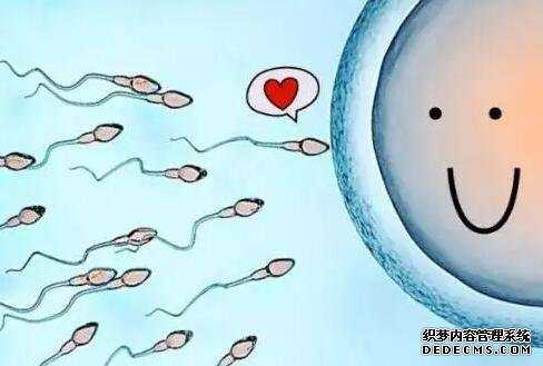 河北捐卵qq号 河北医大四医院试管生殖医学中心 ‘彩超单上的数据看男女’