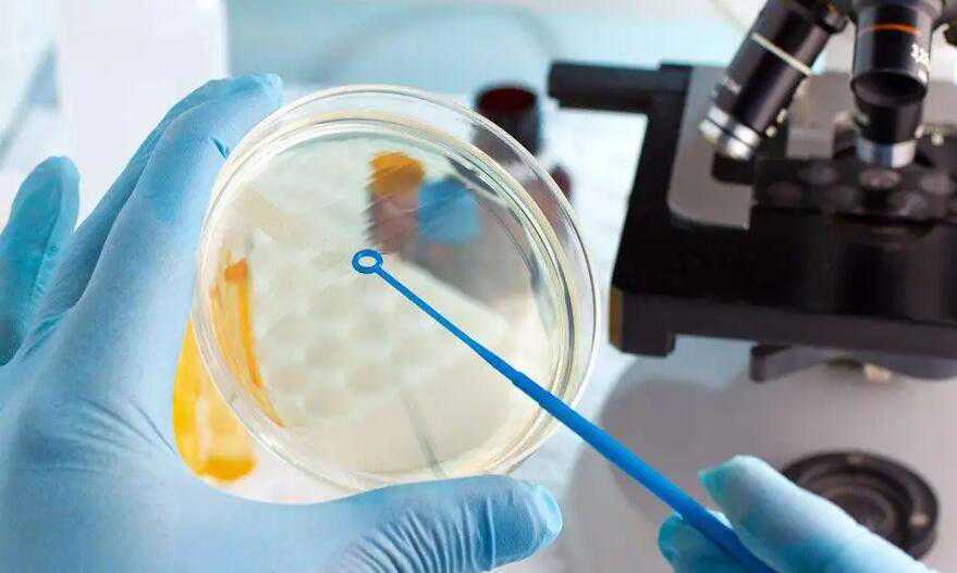湖南湘雅 试管 湖南中信湘雅三代试管生龙凤胎价格明细 ‘怀孕38天b超单怎么看男女图片’
