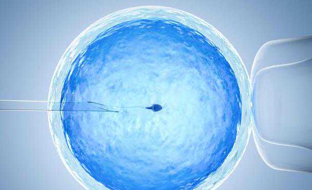 十堰人民医院浙江省妇保试管婴儿哪个好 十堰人民医院试管过程复杂吗?试管费用要这么多 ‘三维彩超怎么来辨别男孩女孩’