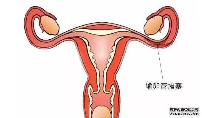 江苏助孕生殖专家 江苏省公立医院试管婴儿成功率高。 ‘代孕nt值1.6毫米是男孩还是女孩’