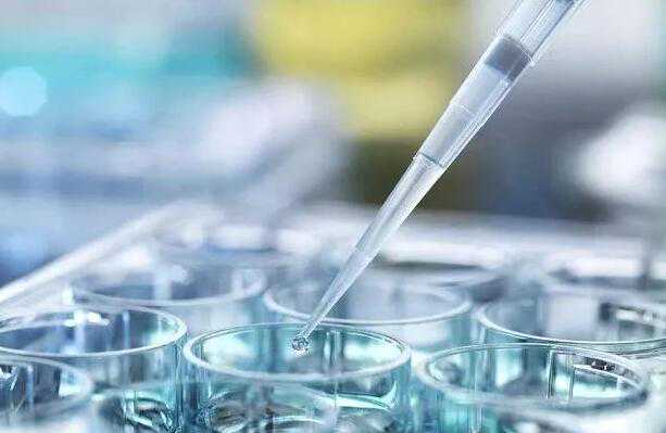 天津供卵试管 天津三代试管包生男孩价格多少?生男孩费用明细? ‘孕囊68*68*32是男是女’