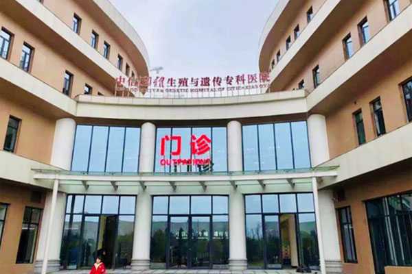 试管助孕费用,代怀网站