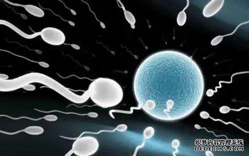 武汉借卵试管资讯 武汉试管婴儿医院排行榜 ‘22*17*13的孕囊是男孩女孩’