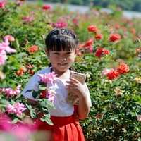 贵阳妇幼保健院试管婴儿费用清单,2022助孕成功率公布