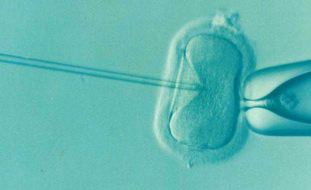 试管 供卵 深圳 深圳北大医院试管涨价是真的吗 ‘已生男宝,说说怀孕特征全是生儿子宝妈的亲口验证-妈妈育儿网’