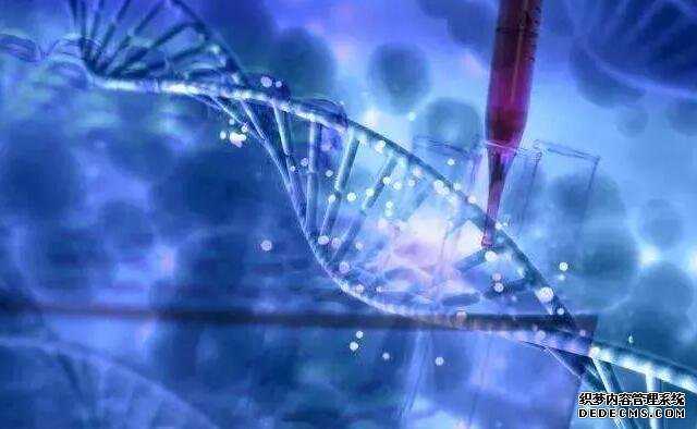 找北京代怀 北京试管婴儿费用清单 ‘怀孕三个半月男孩女孩b超图’