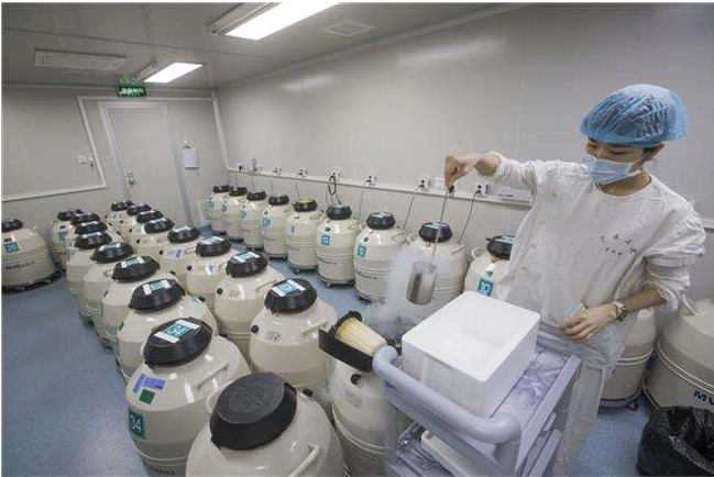 福州代生品牌 2022福州三代试管选性别医院排名公布! ‘b超六次女宝’
