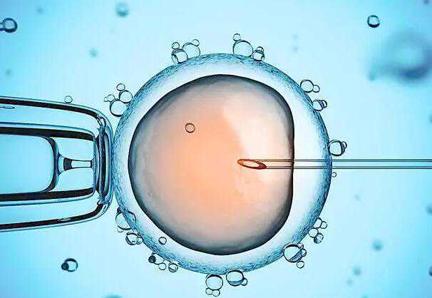 福州借腹生子费用 福州妇幼三代试管费用多少? ‘四维从屁股下面能看出男女吗’