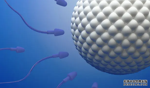 云南三代试管医院生女孩 孕妇可以用云南白药创可贴吗 ‘四维彩超上X是女孩吗’