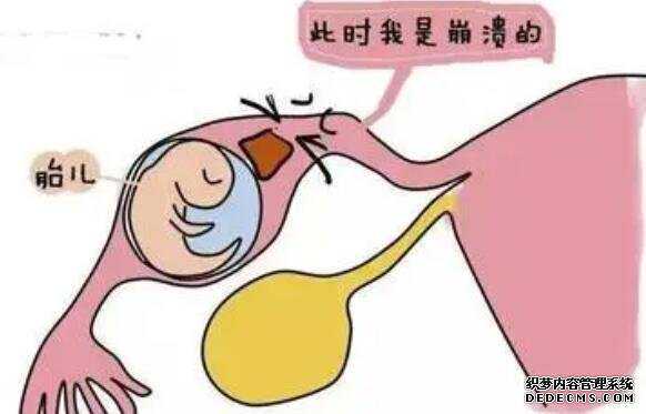 2022南京妇幼保健院试管婴儿成功率怎么样?-试管成功妊娠率