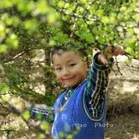 2022年河南农村生三胎补贴多少钱一个月 2022河南省私立助孕机构名单大全,附试管费用和成功率预估 ‘胎囊孕期特征说明你怀了男宝宝’