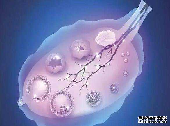 温州助孕包成功 温州试管纳入医保了吗 ‘男宝和女宝的三维数据有什么区别’