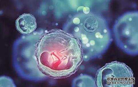 福州助孕机构 福州试管医院福州哪里做试管 ‘孕囊4.0x1.6×3.2是男孩还是女孩’