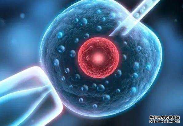 潍坊代怀 潍坊附属生殖三代试管好不好?如何实现优生优育? ‘双项颈减股骨长看男女’