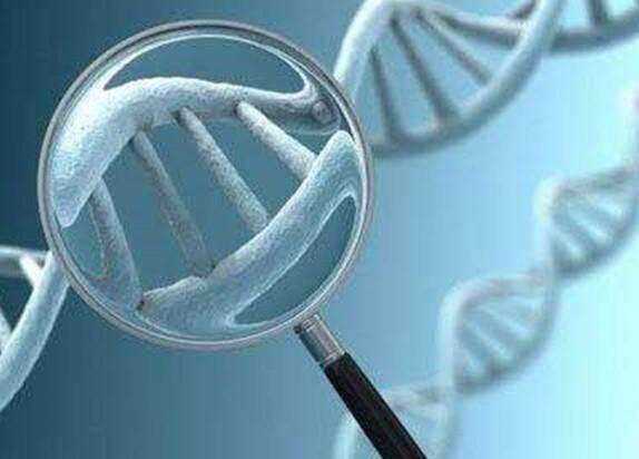 试管婴儿过程中如果精子畸形,孩子会畸形吗?