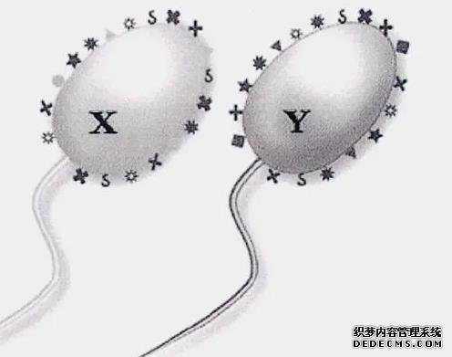 武汉代孕谁可靠 武汉做试管婴儿是多少钱?具体是怎么收费的? ‘14周彩超男孩18周女孩’