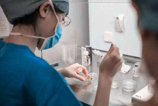 试管婴儿步骤过程详细记录分享,希望大家也像我一样一路绿灯