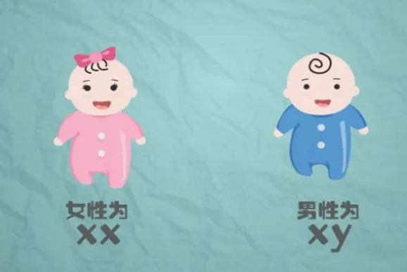 江西试管供卵 江西三代供卵生男孩医院排名一览表,内附最新费用及成功率分享 ‘双顶径5.0股骨长3.8是男孩女孩’