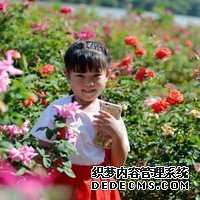 辟谣,“胎停”都是女性的错?这6种男性才是导致胎停的原因_nvv5Z
