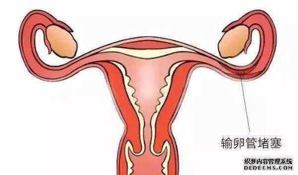 上海私人代怀试管医院 上海正规不孕不育专科医院排名 ‘胚芽和孕囊多少是男孩’