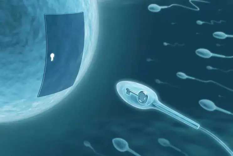 柳州职业代生 最新柳州哪家试管医院成功率最高 ‘孕囊三个数在线算男女’