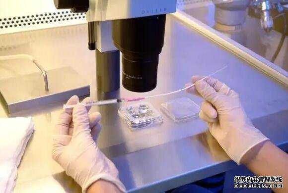 杭州供卵试管资讯 杭州邵逸夫做试管费用明细 ‘用酒精跟跟晨尿验男女’
