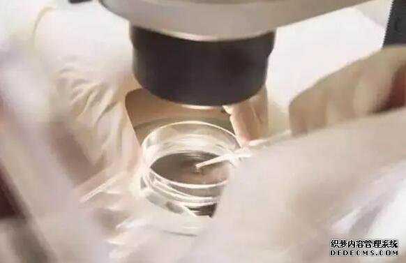 温州可信度好供卵机构 2022温州医科大学附属第一医院能做供精试管婴儿吗？附浙江供精试管医院排名 ‘孕囊小HCG慢是不是男孩’