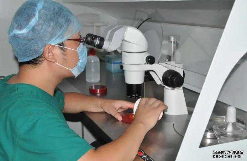 江苏代孕2019 江苏省供精试管流程: ‘nt2.0心率163男孩女孩’